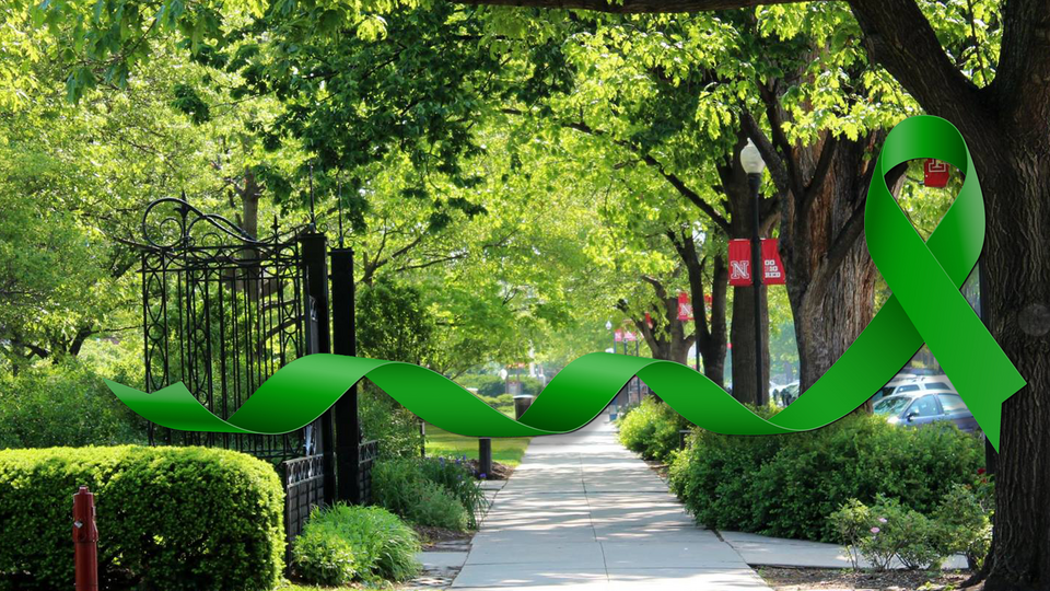 campus sidewalk under trees with a green ribbon